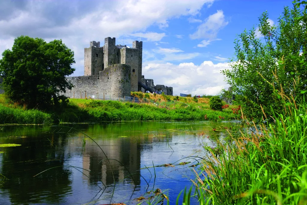 Trim Castle Now