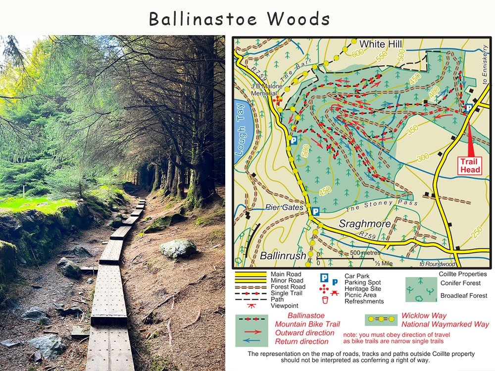 Ballinastoe Woods Walk