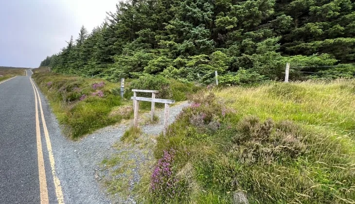 Halfway Up the Hill Entrance of Ballinastoe Woods